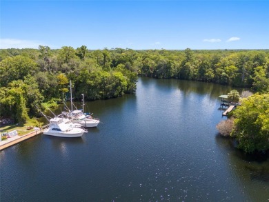 Serene setting in the heart of the Nature Coast of Florida!  5 - photo 5