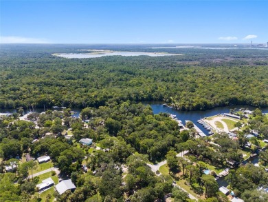 Serene setting in the heart of the Nature Coast of Florida!  5 - photo 6