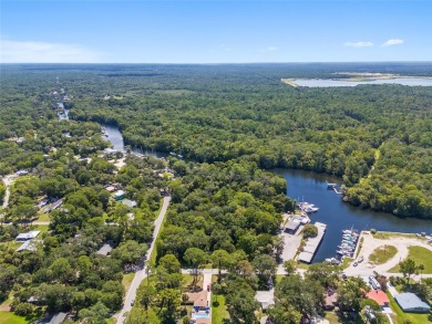 Serene setting in the heart of the Nature Coast of Florida!  5 - photo 7