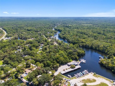Serene setting in the heart of the Nature Coast of Florida!  5 - photo 8