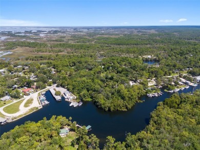 Serene setting in the heart of the Nature Coast of Florida!  5 - photo 9