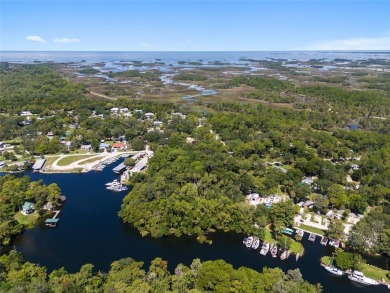Serene setting in the heart of the Nature Coast of Florida!  5 - photo 10