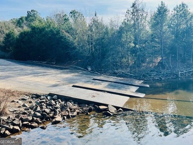 Now Available- 2.44 acres private fronting Lake Russell in gated - photo 12