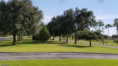 ACITIVITY CENTER 6!! No HOAs with fees or deed restrictions or - photo 13