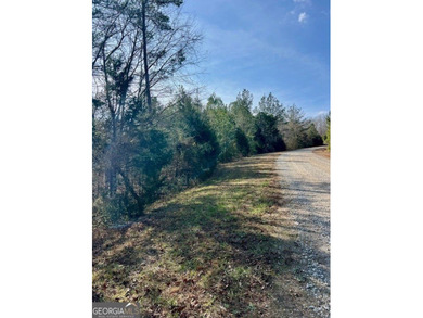 Now Available- 2.44 acres private fronting Lake Russell in gated - photo 13