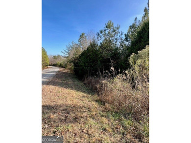 Now Available- 2.44 acres private fronting Lake Russell in gated - photo 14