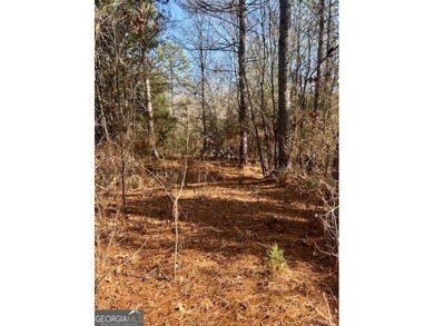 Now Available- 2.44 acres private fronting Lake Russell in gated - photo 15