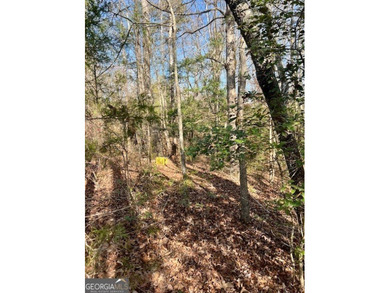 Now Available- 2.44 acres private fronting Lake Russell in gated - photo 16