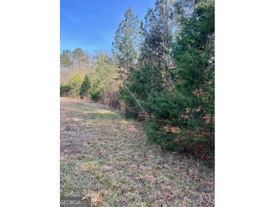 Now Available- 2.44 acres private fronting Lake Russell in gated - photo 17