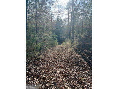 Now Available- 2.44 acres private fronting Lake Russell in gated - photo 18