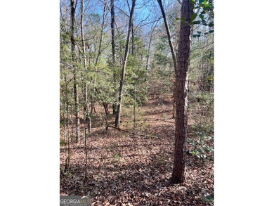 Now Available- 2.44 acres private fronting Lake Russell in gated - photo 19