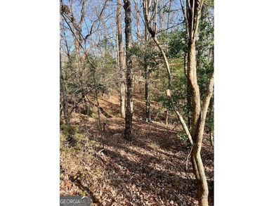 Now Available- 2.44 acres private fronting Lake Russell in gated - photo 20