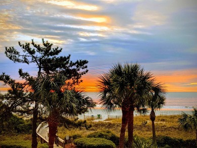 Welcome to Unit 205 at Beach Colony Resort, a charming 1-bedroom - photo 33