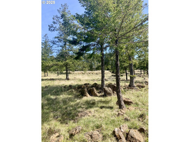 Rogue River Lot For Sale in Gold Beach Oregon