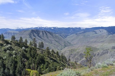 Here's your chance to own a breathtaking piece of Idaho just - photo 2