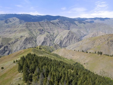 Here's your chance to own a breathtaking piece of Idaho just - photo 5