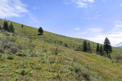 Here's your chance to own a breathtaking piece of Idaho just - photo 8
