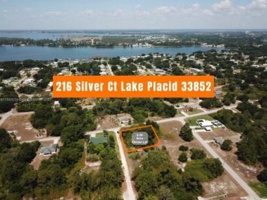 Lake Grassy Lot For Sale in Lake Placid Florida