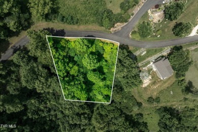 Lake Lot For Sale in Butler, Tennessee