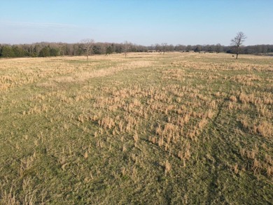 Beautiful 40-acre tract of open, gently rolling land ideal for - photo 3