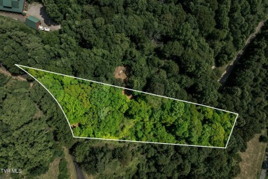 Lake Lot For Sale in Butler, Tennessee