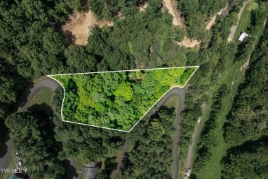 Lake Lot For Sale in Butler, Tennessee
