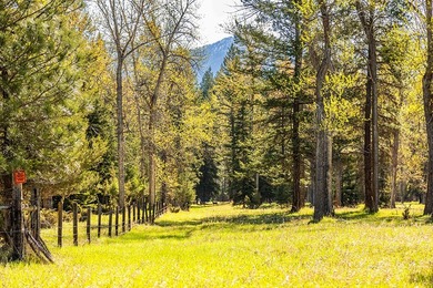 Flowing gracefully from a forested ridgeline, a gently curving - photo 23