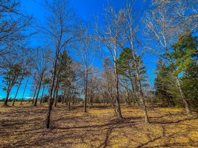 (private lake, pond, creek) Acreage For Sale in Jacksonville Texas