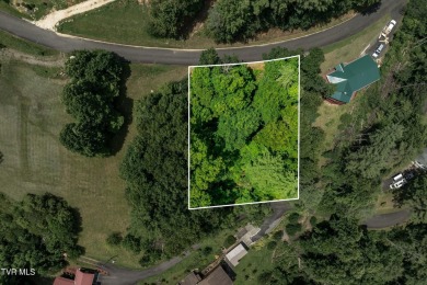 Lake Lot For Sale in Butler, Tennessee
