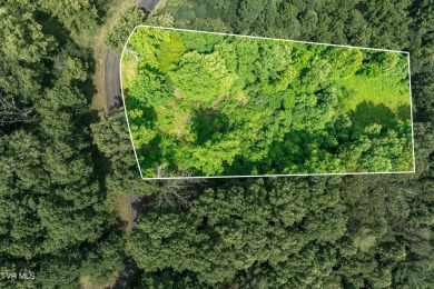 Lake Lot For Sale in Butler, Tennessee