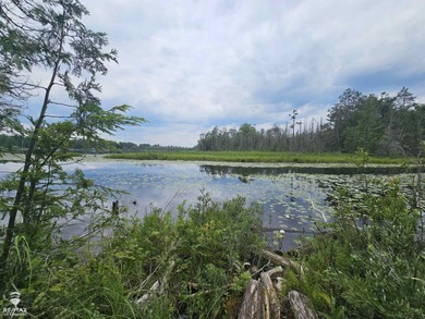 Lower Barnhart Lake Lot For Sale in Millersburg Michigan