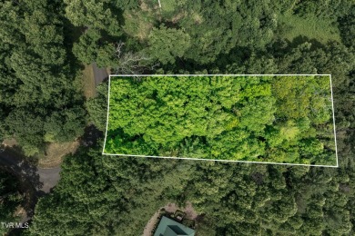 Lake Lot For Sale in Butler, Tennessee