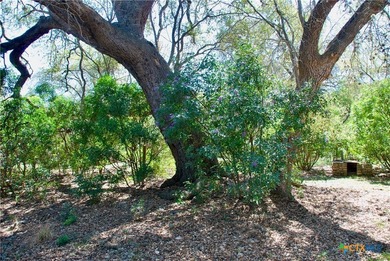 A Hill Country retreat on 6+ acres in Mountain Laurel Estates - photo 32
