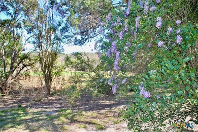 A Hill Country retreat on 6+ acres in Mountain Laurel Estates - photo 34
