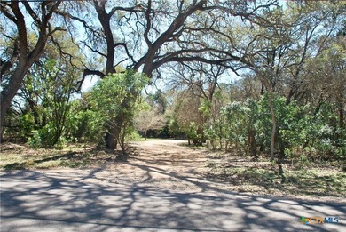 A Hill Country retreat on 6+ acres in Mountain Laurel Estates - photo 42