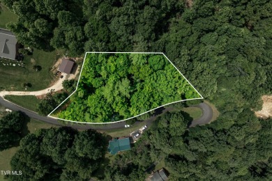 Lake Lot For Sale in Butler, Tennessee