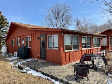 Lake Ida Home For Sale in Alexandria Minnesota