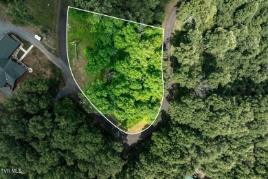 Lake Lot For Sale in Butler, Tennessee
