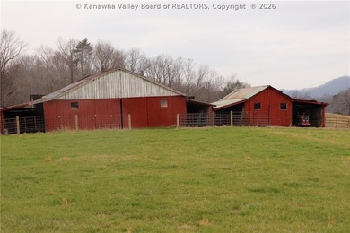 This beautiful 116+/- acre farm features approx. 90+/- acres of - photo 10
