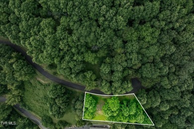 Lake Lot For Sale in Butler, Tennessee