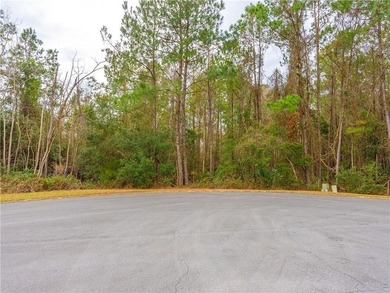 Location, Location, Location! Lot is located on a cul-de-sac - photo 12