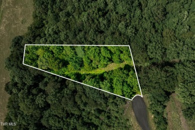 Lake Lot For Sale in Butler, Tennessee