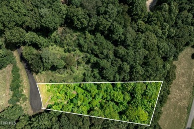 Lake Lot For Sale in Butler, Tennessee