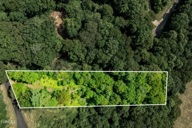Lake Lot For Sale in Butler, Tennessee