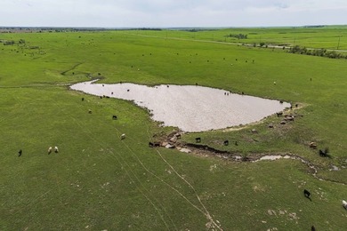 This 1,100+/- acre ranch in Greenwood County represents a rare - photo 2