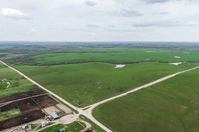 This 1,100+/- acre ranch in Greenwood County represents a rare - photo 3