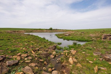 This 1,100+/- acre ranch in Greenwood County represents a rare - photo 4