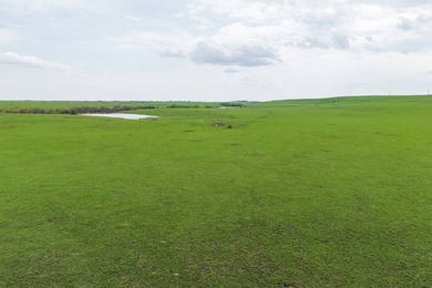 This 1,100+/- acre ranch in Greenwood County represents a rare - photo 6