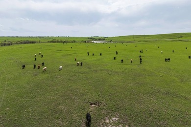 This 1,100+/- acre ranch in Greenwood County represents a rare - photo 7