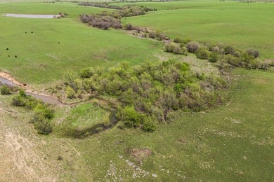 This 1,100+/- acre ranch in Greenwood County represents a rare - photo 10
